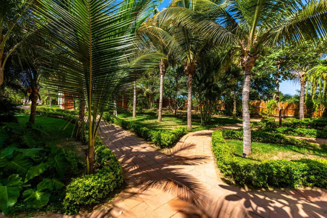 Hotel Punta Camaron Bungalows & Suites Соррітос Екстер'єр фото
